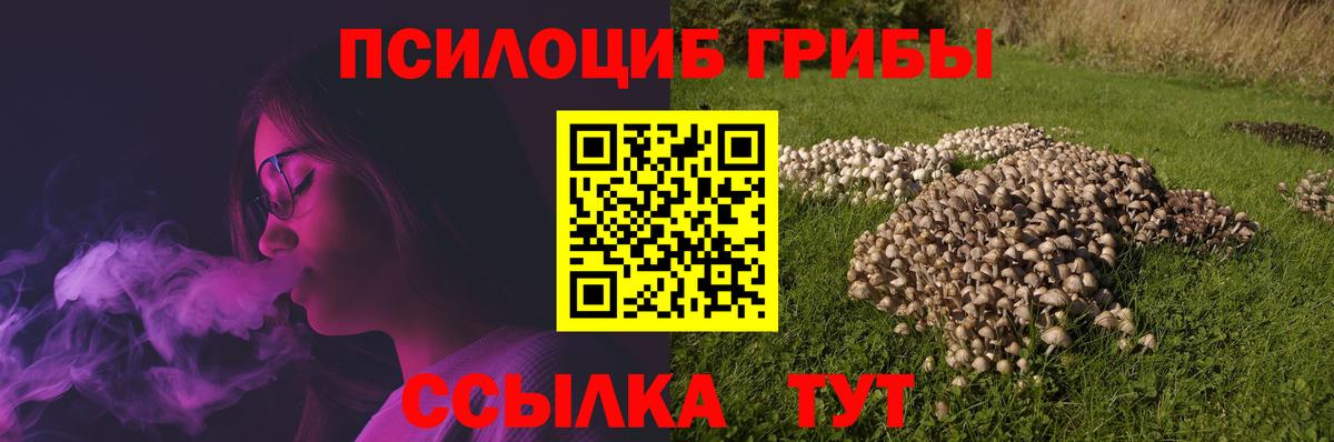 Галлюциногенные грибы прущие грибы  купить   Приморско-Ахтарск  Вход с VPN 