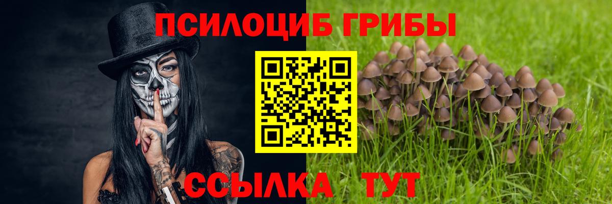 Галлюциногенные грибы мицелий Приморско-Ахтарск